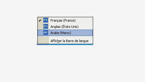 langue arabe pour windows xp sp2 sans cd